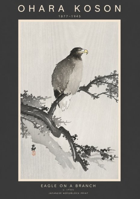 Ohara Koson Eagle on a Branch I No3 - Poster