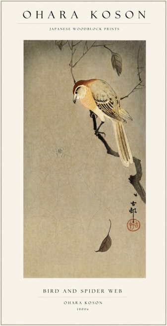 Ohara Koson Bird and Spider Web I No1 - Poster