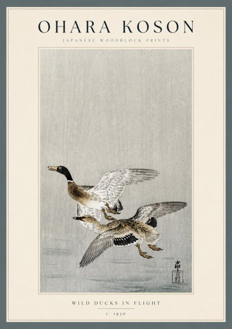Ohara Koson Wild Ducks in Flight No3 - Poster