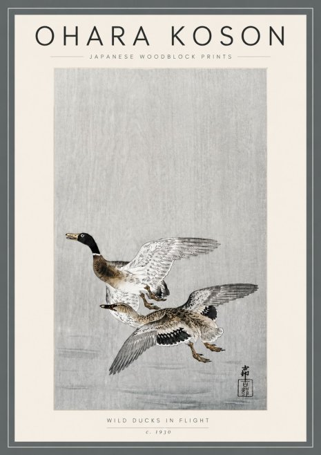 Ohara Koson Wild Ducks in Flight No5 - Poster