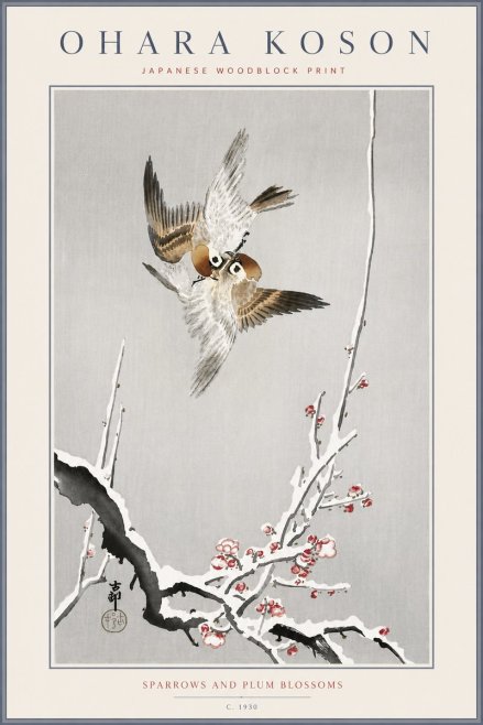 Ohara Koson Sparrows and Plum Blossoms No6 - Poster