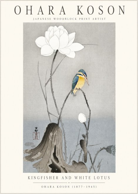 Ohara Koson Kingfisher and White Lotus No1 - Poster