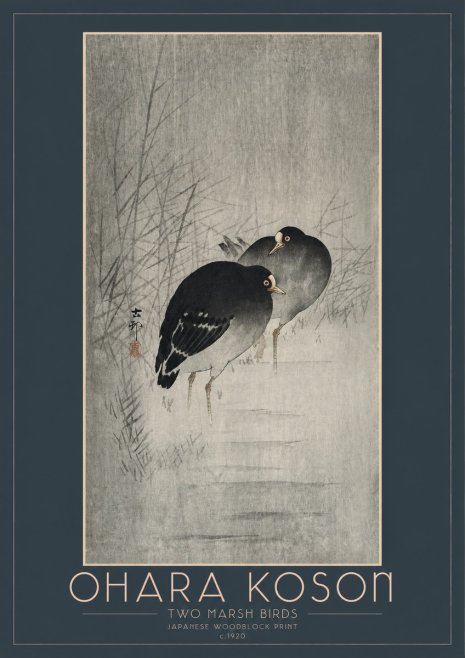 Ohara Koson Two Marsh Birds No2 - Poster