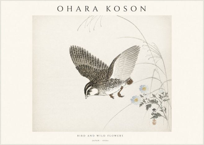 Ohara Koson Bird and Wild Flowers No1 - Poster