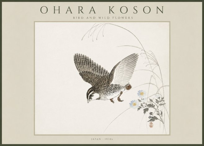 Ohara Koson Bird and Wild Flowers No4 - Poster