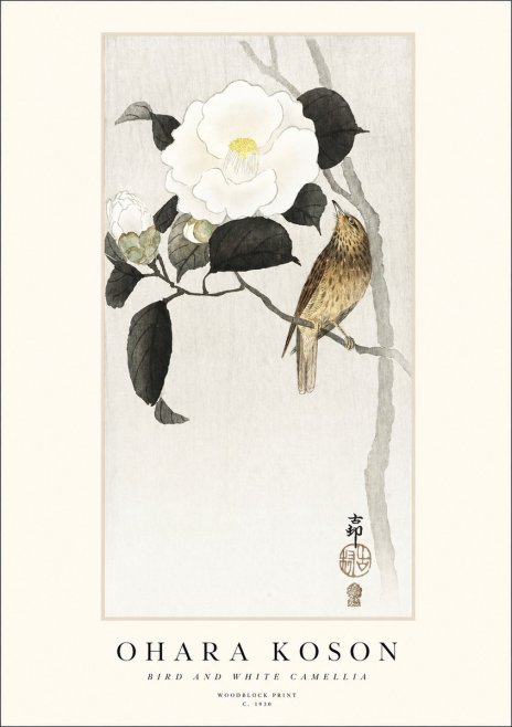 Ohara Koson Bird and White Camellia No1 - Poster