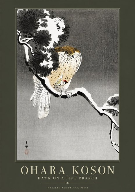 Ohara Koson Hawk on a Pine Branch No2 - Poster