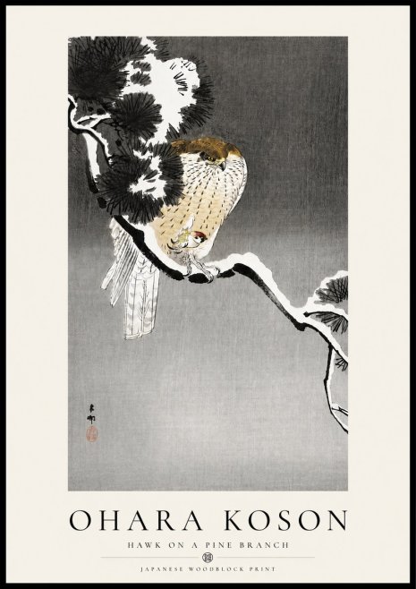 Ohara Koson Hawk on a Pine Branch No4 - Poster