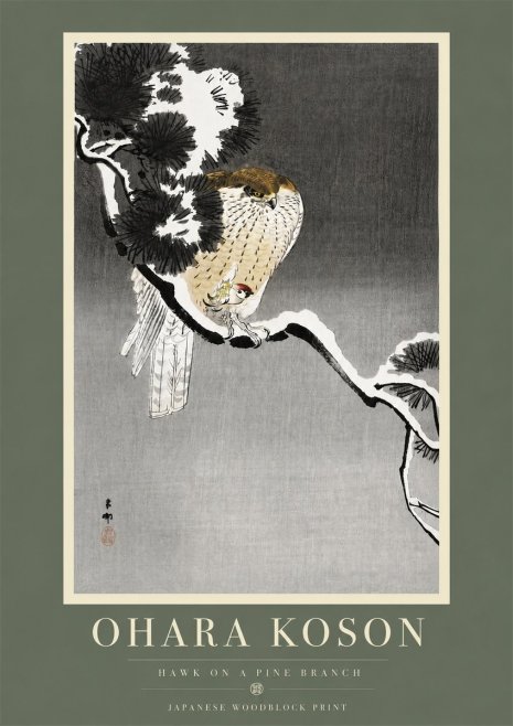 Ohara Koson Hawk on a Pine Branch No5 - Poster