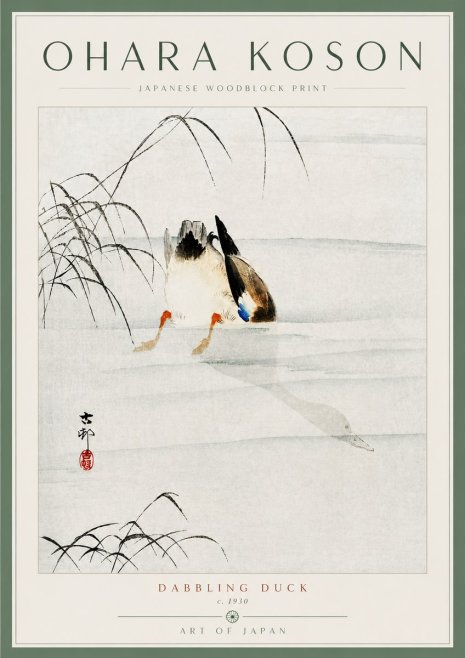 Ohara Koson Dabbling Duck No5 - Poster