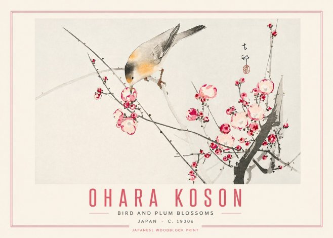 Ohara Koson Bird and Plum Blossoms No5 - Poster