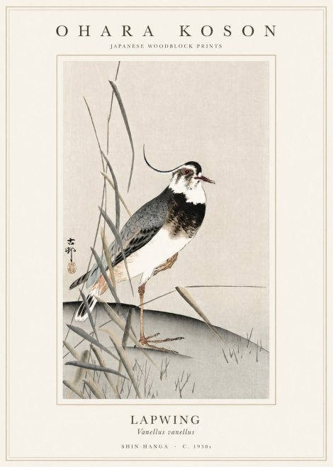 Ohara Koson Lapwing No1 - Poster