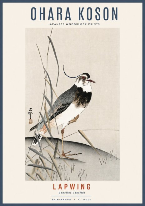 Ohara Koson Lapwing No2 - Poster