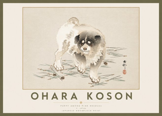 Ohara Koson Puppy Among Pine Needles No2 - Poster