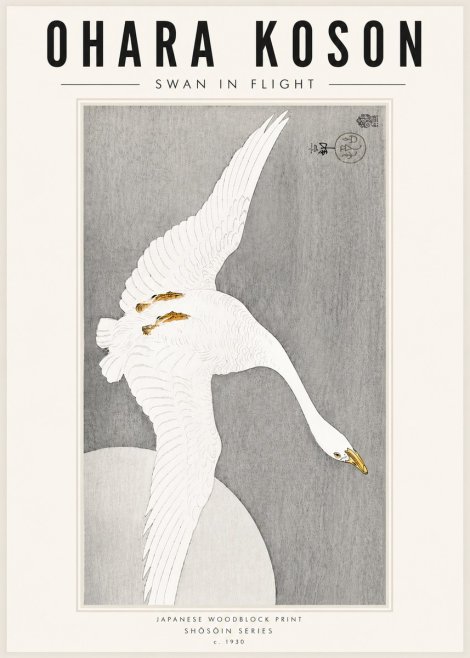Ohara Koson Swan in Flight No5 - Poster