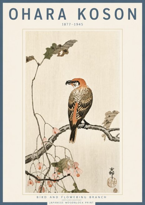 Ohara Koson Bird and Flowering Branch No4 - Poster