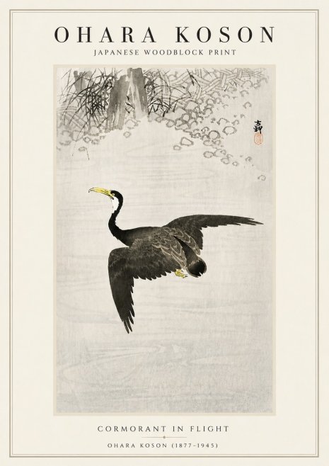 Ohara Koson Cormorant in Flight No5 - Poster