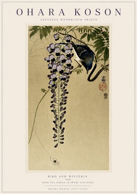 Ohara Koson Bird and Wisteria No3 - Poster