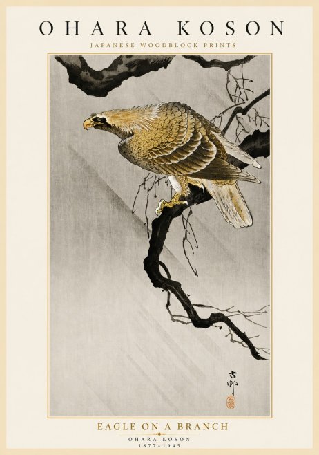 Ohara Koson Eagle on a Branch II No5 - Poster
