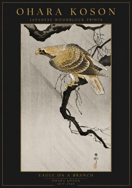 Ohara Koson Eagle on a Branch II No6 - Poster