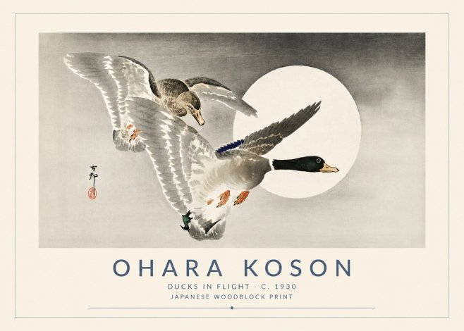 Ohara Koson Ducks in Flight No5 - Poster