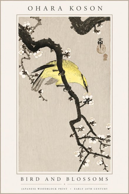 Ohara Koson Bird and Blossoms No6 - Poster