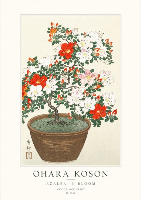 Ohara Koson Azalea in Bloom No1 - Poster