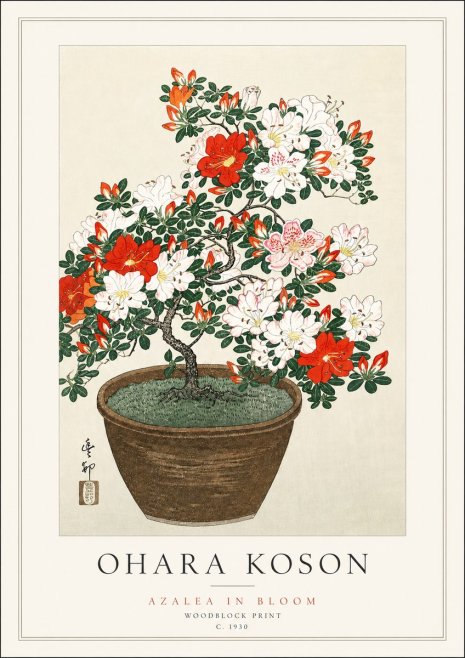 Ohara Koson Azalea in Bloom No3 - Poster