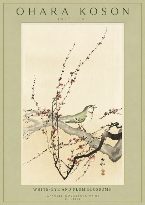 Ohara Koson White-eye and Plum Blossoms No4 - Poster
