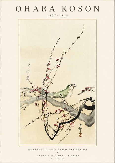 Ohara Koson White-eye and Plum Blossoms No5 - Poster