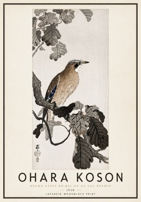 Ohara Koson Brown-eared Bulbul on an Oak Branch No4 - Poster