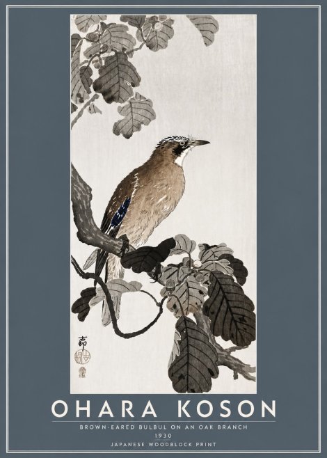 Ohara Koson Brown-eared Bulbul on an Oak Branch No5 - Poster