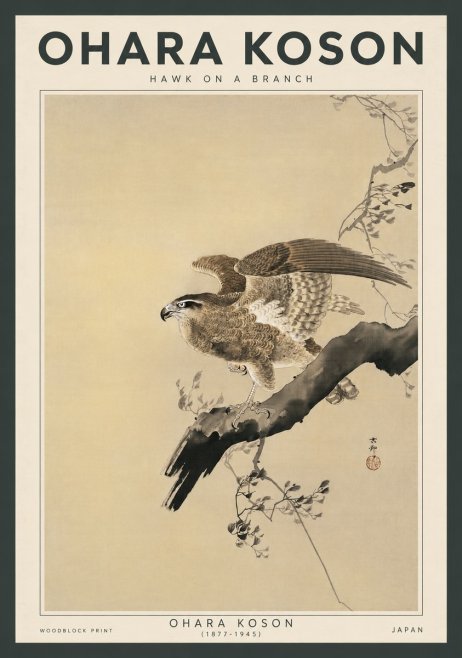 Ohara Koson Hawk on a Branch I No3 - Poster