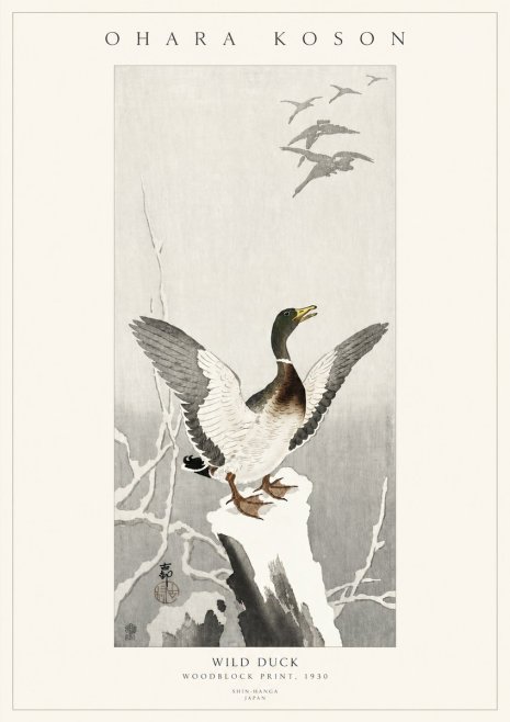 Ohara Koson Wild Duck No3 - Poster