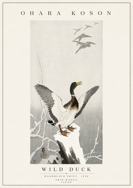 Ohara Koson Wild Duck No5 - Poster