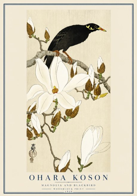 Ohara Koson Magnolia and Blackbird No3 - Poster