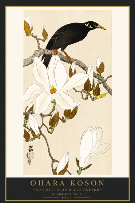 Ohara Koson Magnolia and Blackbird No4 - Poster