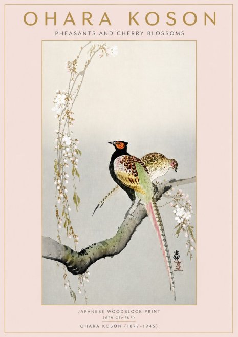 Ohara Koson Pheasants and Cherry Blossoms II No3 - Poster