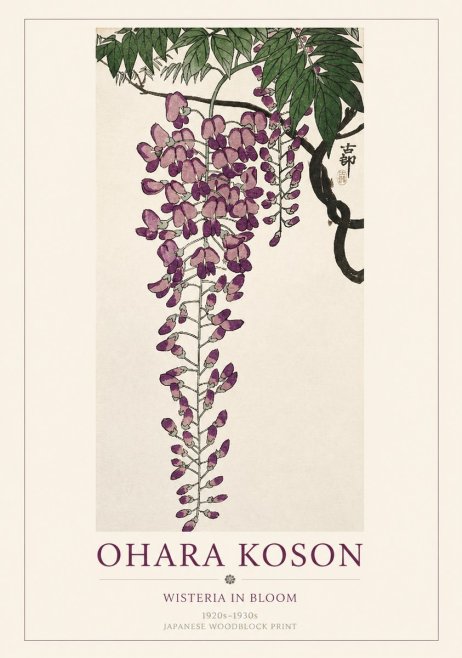 Ohara Koson Wisteria in Bloom No1 - Poster