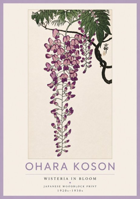 Ohara Koson Wisteria in Bloom No4 - Poster