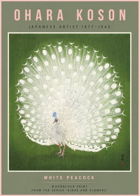 Ohara Koson White Peacock No6 - Poster