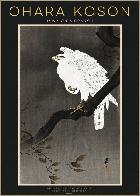 Ohara Koson Hawk on a Branch II No4 - Poster