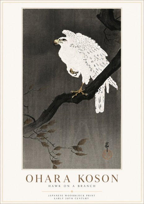 Ohara Koson Hawk on a Branch II No6 - Poster