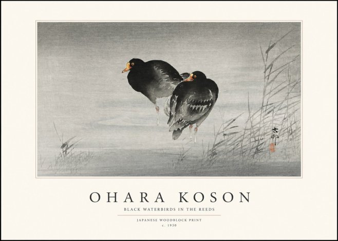 Ohara Koson Black Waterbirds in the Reeds No1 - Poster