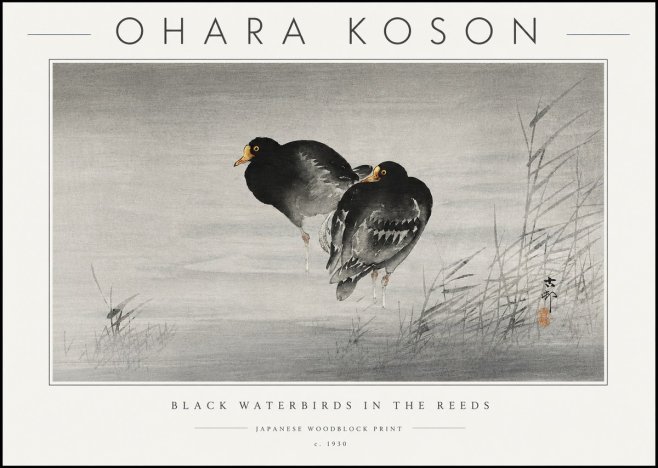 Ohara Koson Black Waterbirds in the Reeds No6 - Poster