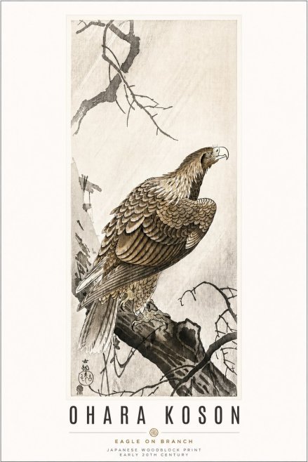 Ohara Koson Eagle on Branch No3 - Poster