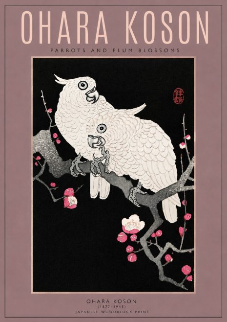 Ohara Koson Parrots and Plum Blossoms No3 - Poster
