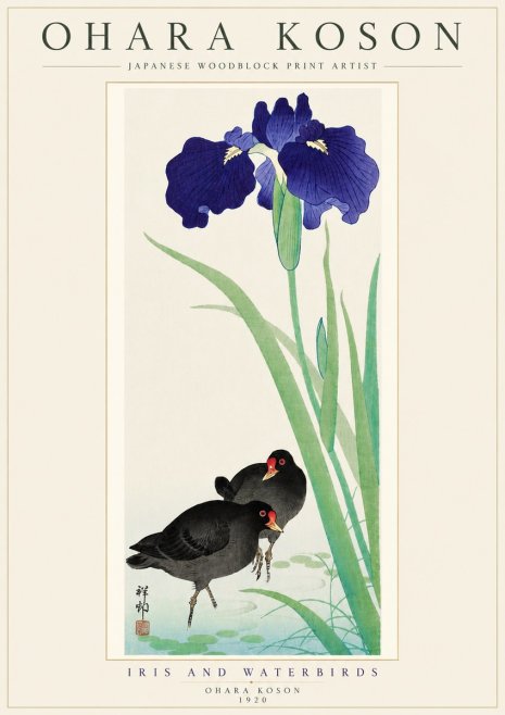 Ohara Koson Iris and Waterbirds No5 - Poster
