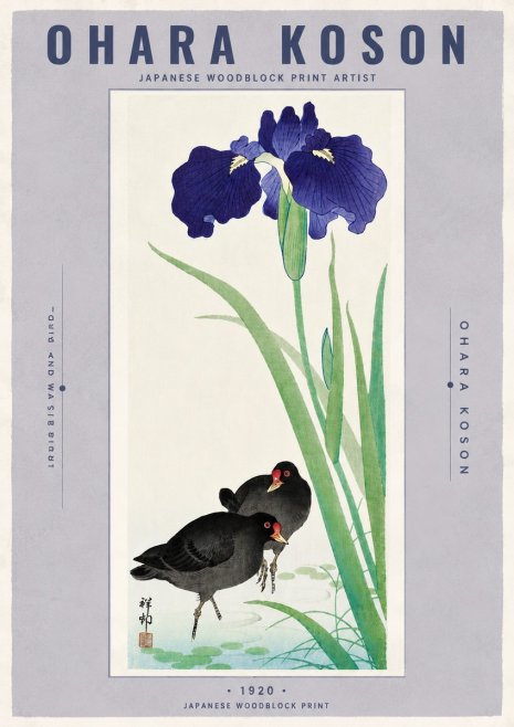 Ohara Koson Iris and Waterbirds No6 - Poster