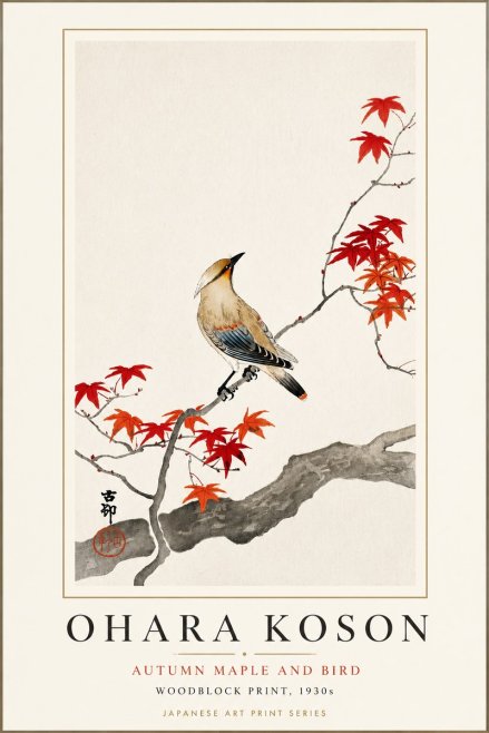 Ohara Koson Autumn Maple and Bird No3 - Poster